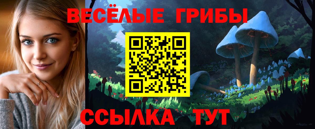 Волгодонск  Галлюциногенные грибы GOLDEN TEACHER  Вход с VPN  Псилоцибиновые грибы мухоморы 