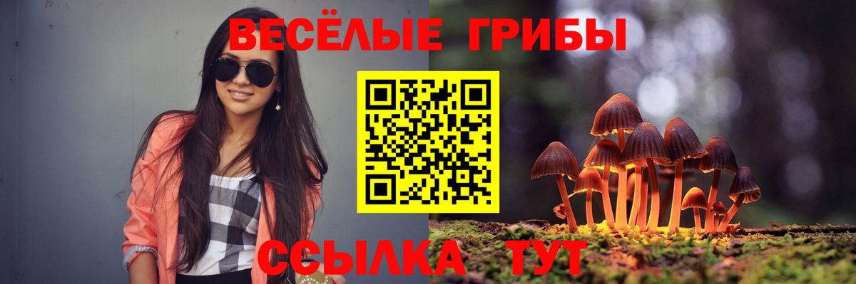 Псилоцибиновые грибы Psilocybe Волгодонск